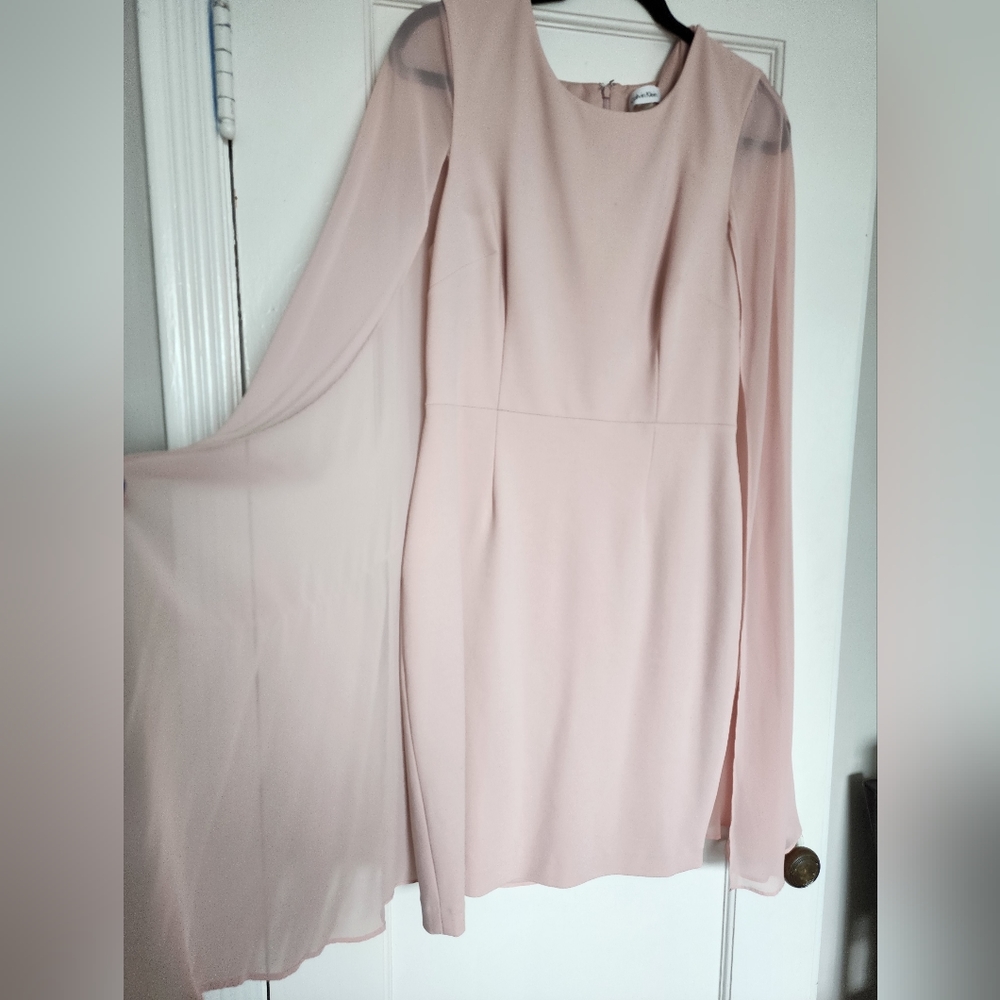 Calvin Klein Pink Sheath Dress Size 10